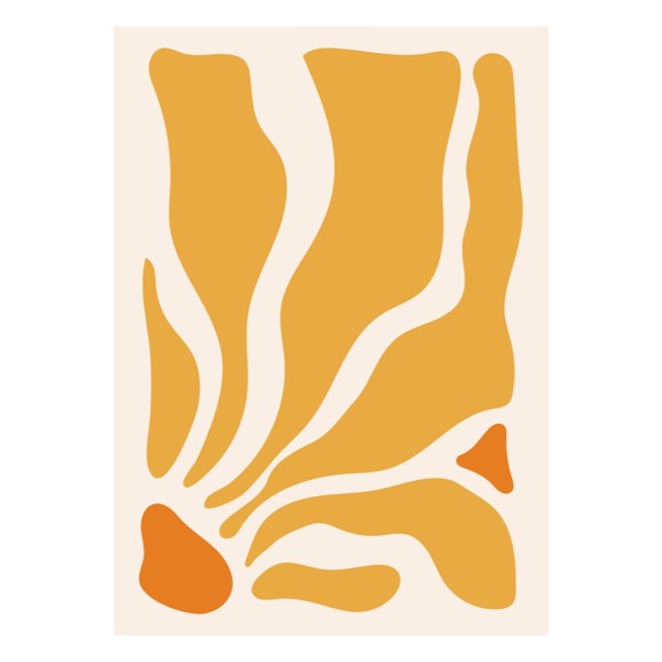 Amber Curves