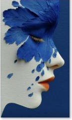 Blue Petal Profile - Image 1