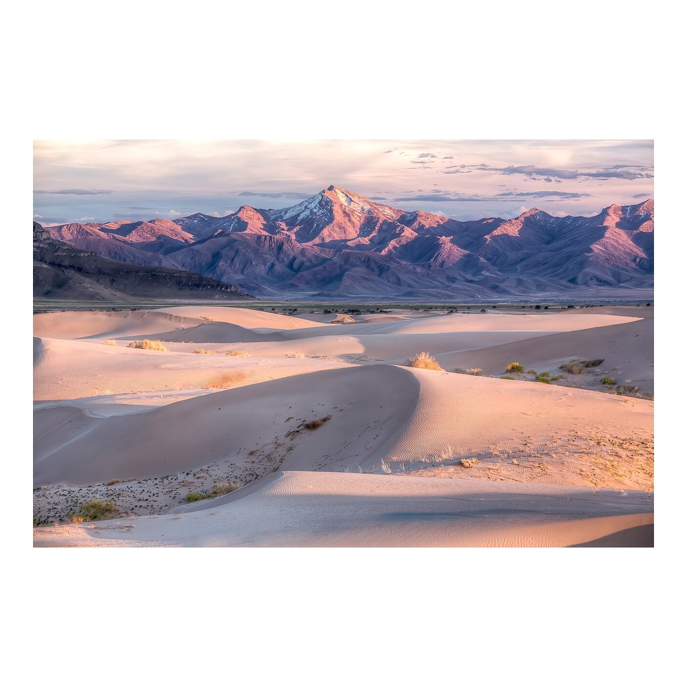 Little Sahara Dunes