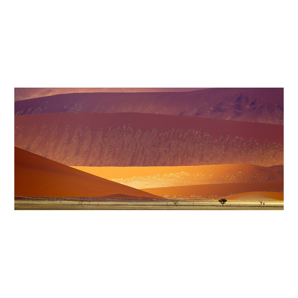 Namib Dunes